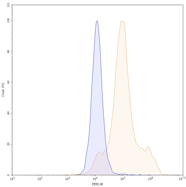 SEC-HPLC detection for Anti-Human CD66e/CEA/CEACAM5 Antibody (ABS0313).