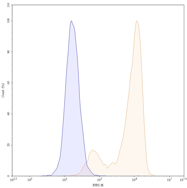 Flow-cytometry using FITC anti-human CD66e antibody. HPAC cells were stained with an irrelevant antibody (Blue Histogram) or an FITC anti-human CD66e monoclonal antibody (Catalog HY546117, Yellow Histogram) at a concentration of 5 µg/ml for 30 mins at RT. After washing, and cells analysed on a NovoCyte Flow Cytometer.