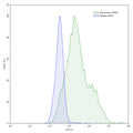 SEC-HPLC detection for Anti-Human CD66e/CEA/CEACAM5 Antibody (MN14).