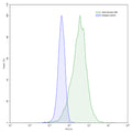 SEC-HPLC detection for Anti-Human VIM/Vimentin Antibody (VB6).