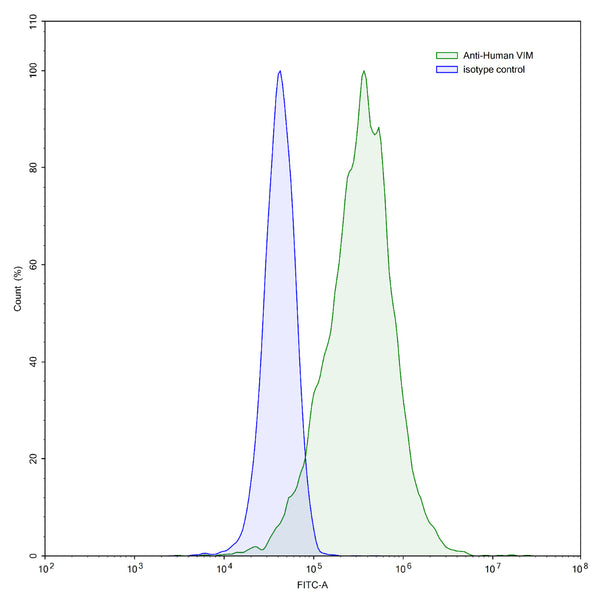 SEC-HPLC detection for Anti-Human VIM/Vimentin Antibody (VB6).