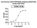 SEC-HPLC detection for Anti-Human CD37/TSPAN26 Antibody (ABS1208).