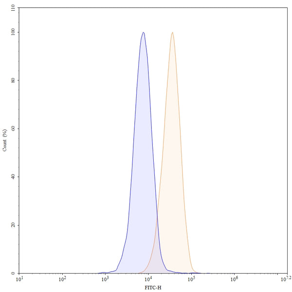 Anti-Human CD37/TSPAN26 Reference Antibody (Otlertuzumab) – Figure 1 of 1
