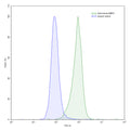 Flow-cytometry using anti-human BMP2 antibody.HeLa cells were stained with an irrelevant antibody (Blue Histogram) or an anti-human BMP2 antibody monoclonal antibody (Catalog # HY576107 ,Green Histogram) at a concentration of 5 µg/ml for 30 mins at RT. After washing, bound antibody was detected using a FITC conjugated goat anti-mouse antibody (Catalog # MF690414) and cells analysed on a NovoCyte Flow Cytometer.