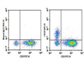 Purified Anti-Mouse CD22 Antibody[Cy34.1] – Figure 1 of 2