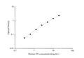 Uncoated Human ON (Osteonectin) ELISA Kit – Figure 1 of 4