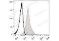 Elab Fluor® 488 Anti-Mouse CD54 Antibody[YN1/1.7.4] – Figure 3 of 5
