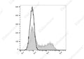 FITC Anti-Mouse IL-2 Antibody[JES6-5H4] – Figure 1 of 2