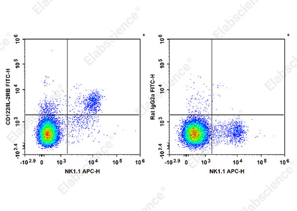 FITC Anti-Mouse CD122/IL-2RB Antibody[5H4] – Figure 1 of 2