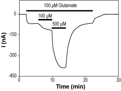 IDRA 21 – Figure 1 of 2