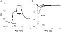 ICA 121431 – Figure 1 of 2