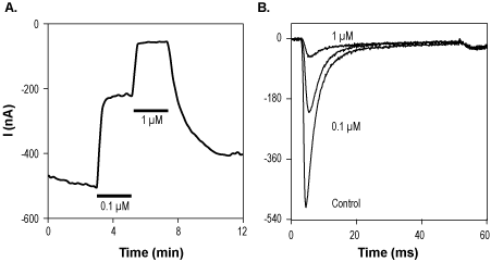 ICA 121431 – Figure 1 of 2
