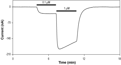 Isoguvacine hydrochloride – Figure 1 of 2