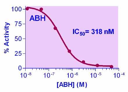 QuantiChrom™ Arginase Inhibitor Screening Kit