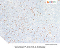 SensiStain™ Anti-TIA-1 Antibody – Figure 1 of 1