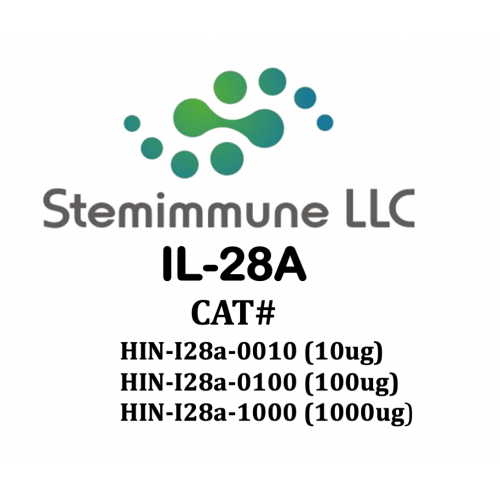 Recombinant Human IL-28A Protein – Figure 1 of 1
