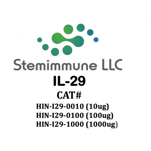 Recombinant Human IL-29 Protein – Figure 1 of 1