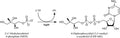 P. aeruginosa IspD Assay Kit Plus – Figure 1 of 1