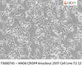 ANO6 CRISPR Knockout 293T Cell Line-T2-12 – Figure 1 of 1