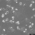 JAR cell