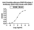 SEC-HPLC detection for Anti-Candida albicans ENO1/Enolase 1 Antibody (ABS1276).
