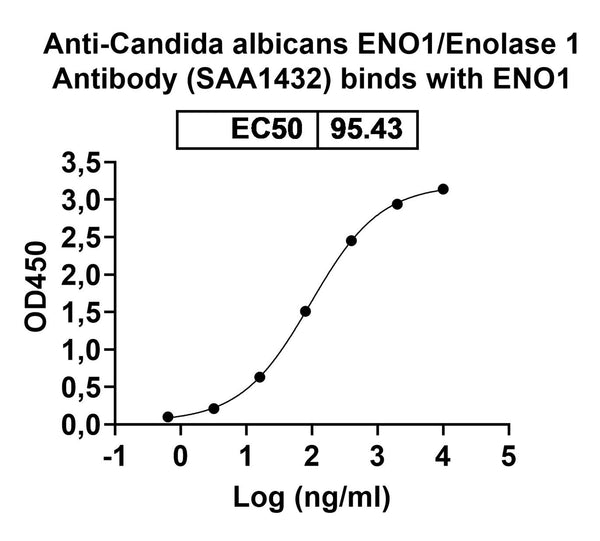 SEC-HPLC detection for Anti-Candida albicans ENO1/Enolase 1 Antibody (ABS1276).