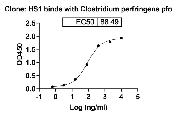 Detects Clostridium perfringens pfo in indirect ELISAs.