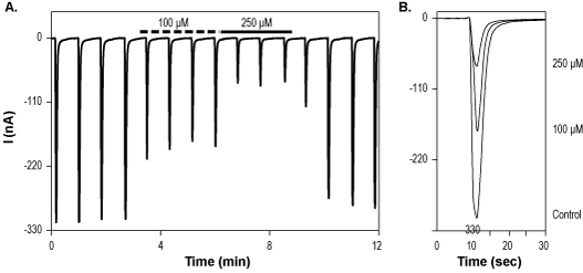 Kynurenic acid – Figure 1 of 2