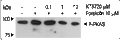 KT5720 – Figure 1 of 3