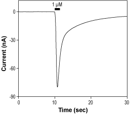 Kainic acid monohydrate – Figure 1 of 2