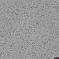 KMS-12-BM cell