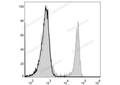 Elab Fluor® 488 Anti-Mouse CD4 Antibody[GK1.5] – Figure 3 of 5