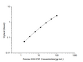 Porcine GM-CSF (Granulocyte Macrophage Colony Stimulating Factor) ELISA Kit – Figure 1 of 3