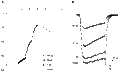 L-651,582 – Figure 1 of 2