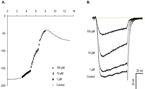 L-651,582 – Figure 1 of 2