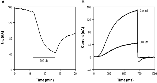 Linopirdine – Figure 1 of 2