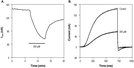 Linopirdine dihydrochloride – Figure 1 of 2