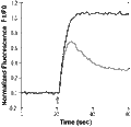 LASSBio-1135 – Figure 1 of 2