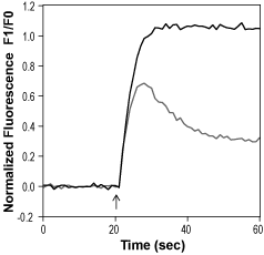 LASSBio-1135 – Figure 1 of 2