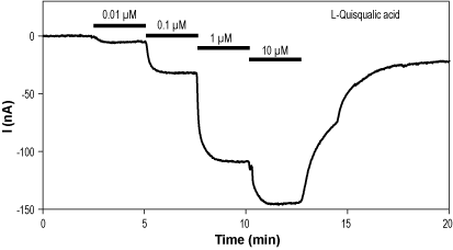 L-Quisqualic acid – Figure 1 of 2