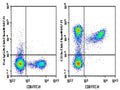 Purified Anti-Mouse CD3 Antibody[17A2] – Figure 1 of 2