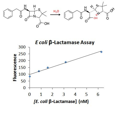 Beta Lactamase Assay Kit – Figure 1 of 1