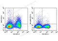 FITC Anti-Mouse CD73 Antibody[TY/23] – Figure 1 of 2