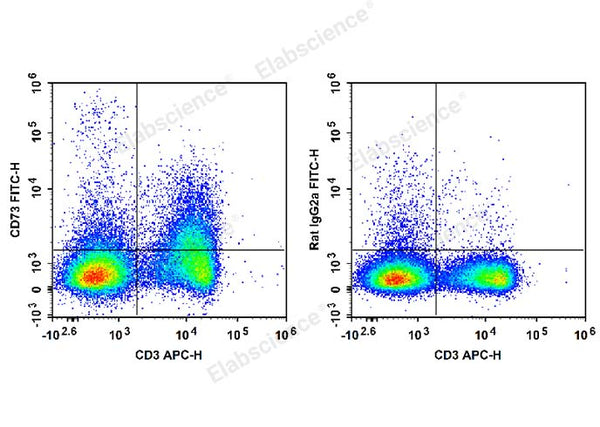 FITC Anti-Mouse CD73 Antibody[TY/23] – Figure 1 of 2