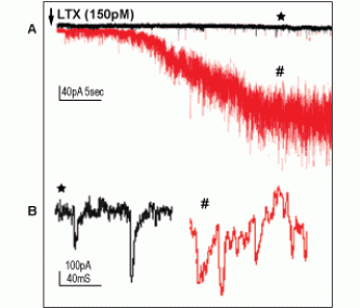 α-Latrotoxin