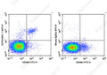 APC Anti-Mouse CD161/NK1.1 Antibody[PK136] – Figure 1 of 2