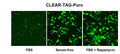 CLEAR Reporter Lentivirus – Figure 1 of 4