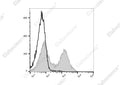 FITC Anti-Mouse CD38 Antibody[NIMR5] – Figure 1 of 2