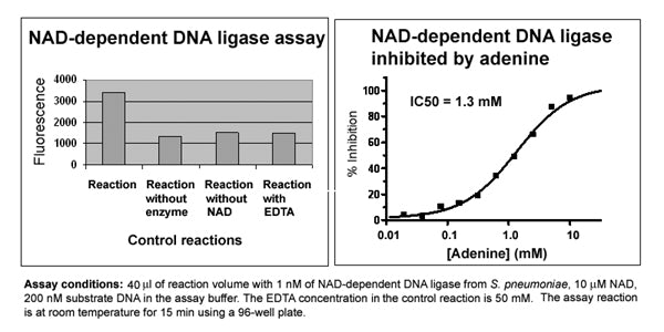 NAD-dependent DNA Ligase Assay Kit – Figure 1 of 1