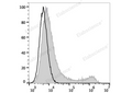 FITC Anti-Mouse CD45.1 Antibody[A20] – Figure 1 of 2